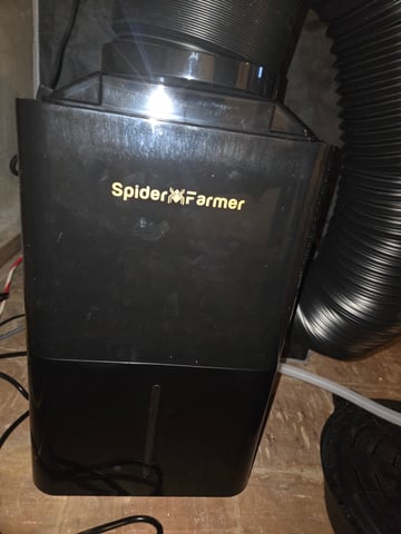 First Grow — flower, day 69