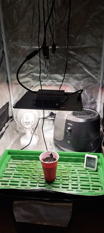 Grow 2 — grow_setup, day 1
