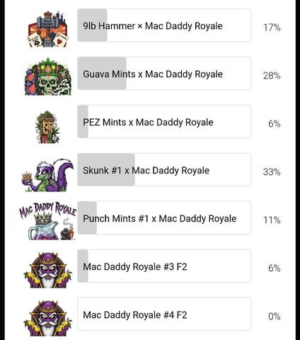 You 🫵 Decide 🗳 — grow_setup, day 13