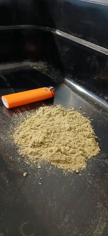 newest ggs setup grow — harvest, day 105