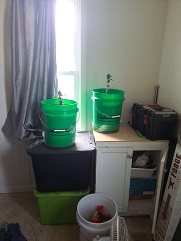 b1. — done, day 65