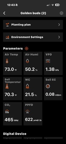  Apple fritter  Clones round two — vegetative, day 129