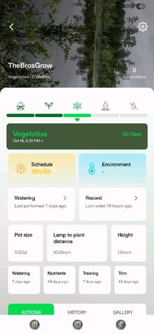 run #3 — grow_setup, day 3