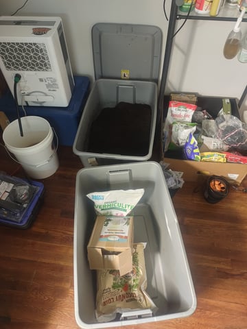 Give #2 A Chance... — flower, day 1