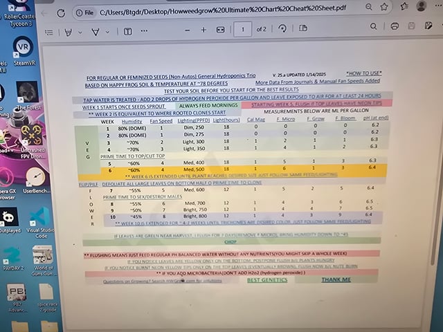 FIRST GROW — vegetative, day 11