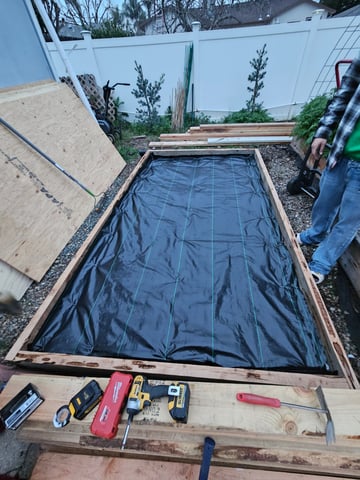 Sour Headies/OGBX1 — grow_setup, day 2