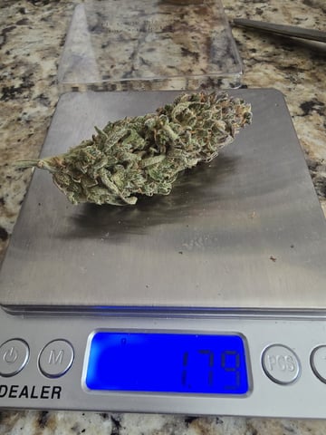 1st Auto Grow (LSD + BrB) - 1st indoor Grow — done, day 120