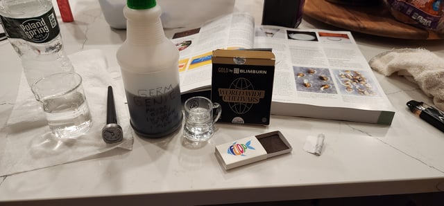 Here We Grow... — seedling_rooting, day 18