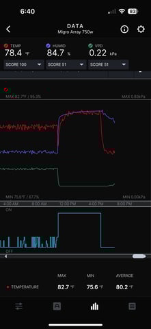 PKB remix/PotG — vegetative, day 47