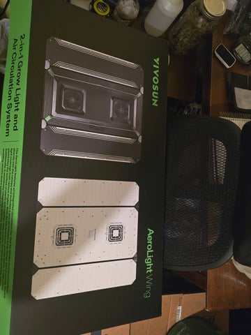 First grow — harvest, day 145