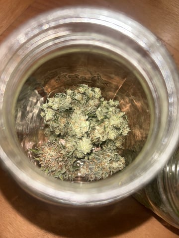 unknown strain 1st grow