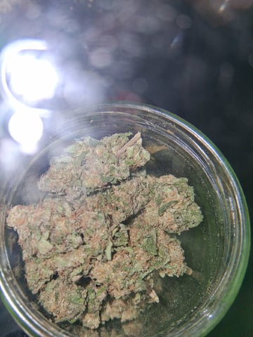 S&D  First Grow