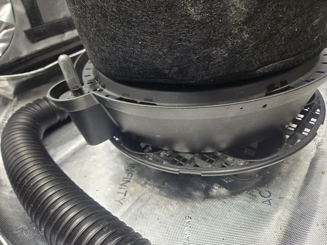 First Grow — vegetative, day 50