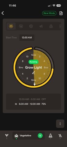 Grow #2 — vegetative, day 36