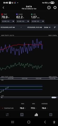 Purple Haze  — flower, day 59