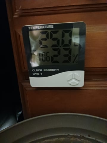 4th grow  — seedling_rooting, day 135