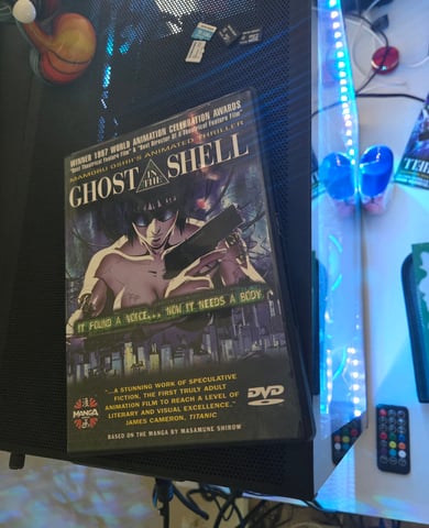 Fastbuds Autoflower Run — germination, day 1