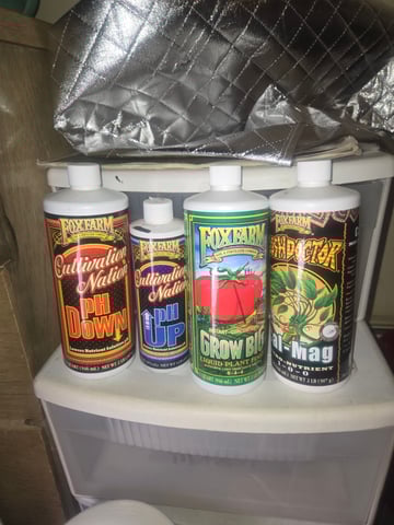 Looking for advice! — vegetative, day 10