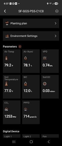 Kalini Asia Auto  — flower, day 52