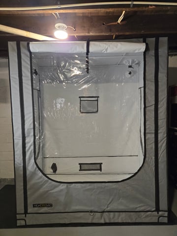 2nd Grow 3x5 tent — germination, day 1