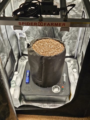 Spring 2025 — grow_setup, day 1