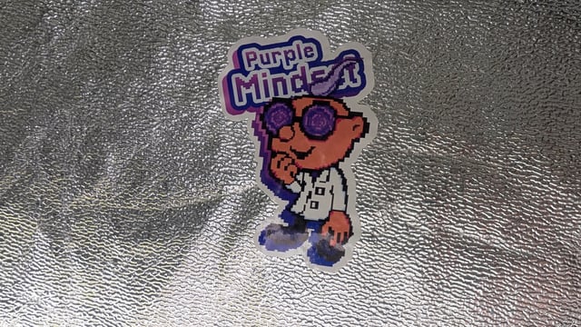 Mixed Grow — grow_setup, day 2