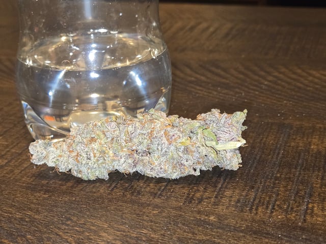 First Grow — done, day 146