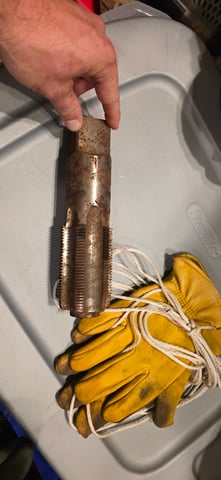 Let's just leave these right here! — germination, day 2