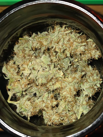 2nd Autoflower Indoor Grow — flower, day 101