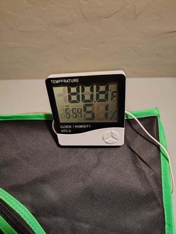 new 1 — seedling_rooting, day 2