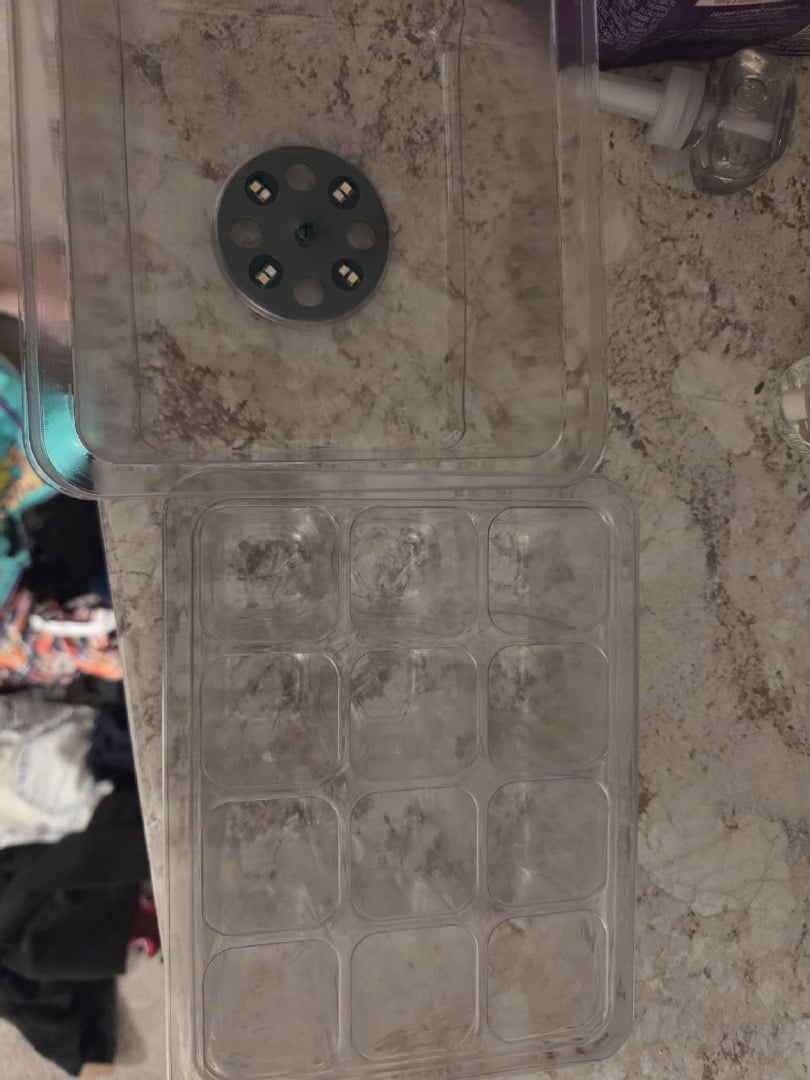 My first batch of medication