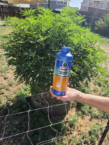 Outdoor 2026 — vegetative, day 2