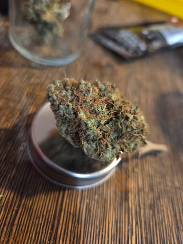 new bee's  — vegetative, day 75