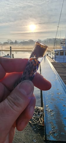 Here We Grow... — grow_setup, day 1