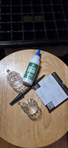 Fall '25 Indoor 2x4 — grow_setup, day 1