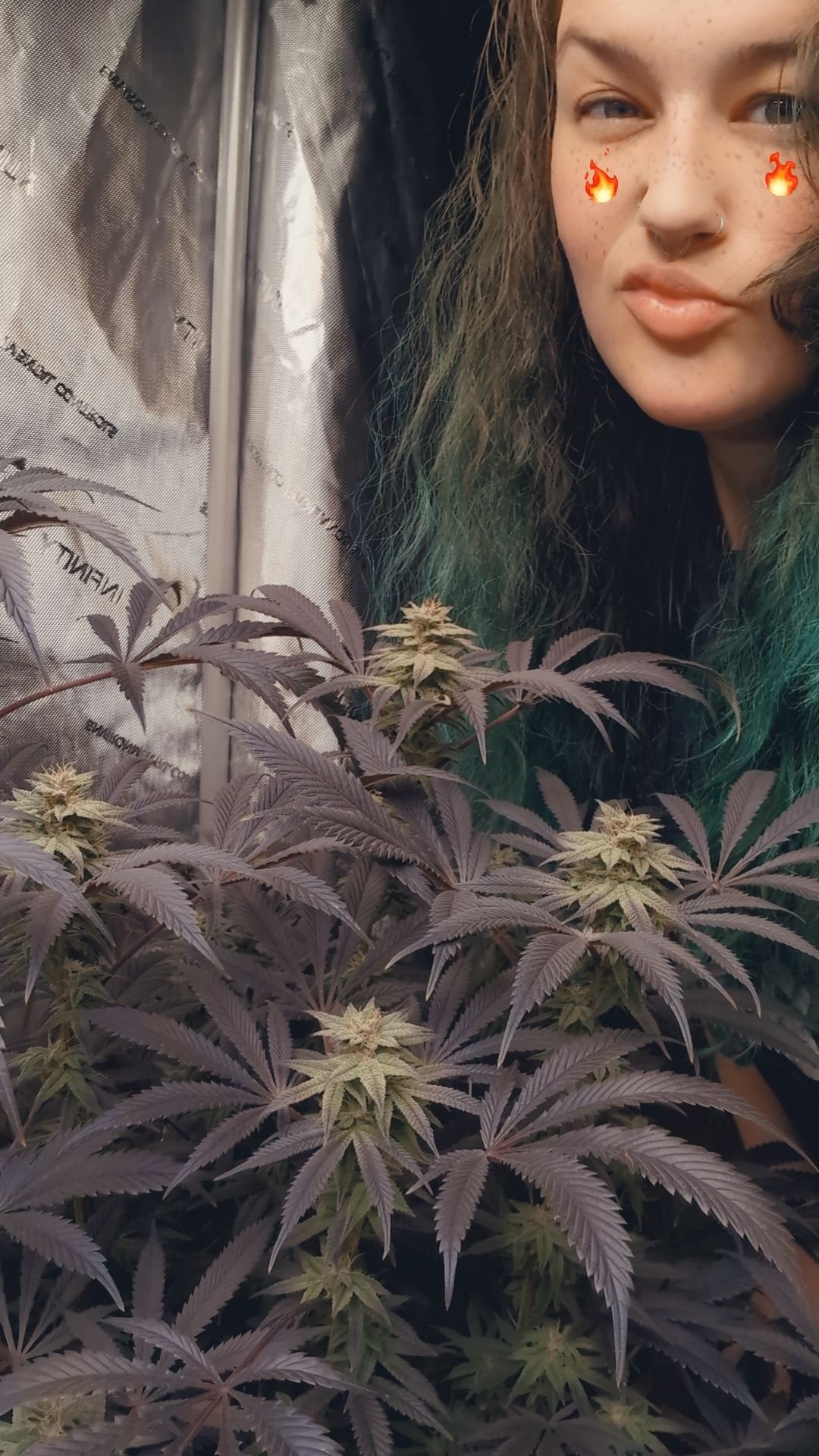 Salem_Grows_VA