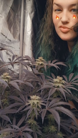 Salem_Grows_VA