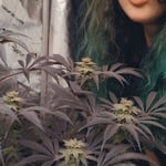 Salem_Grows_VA