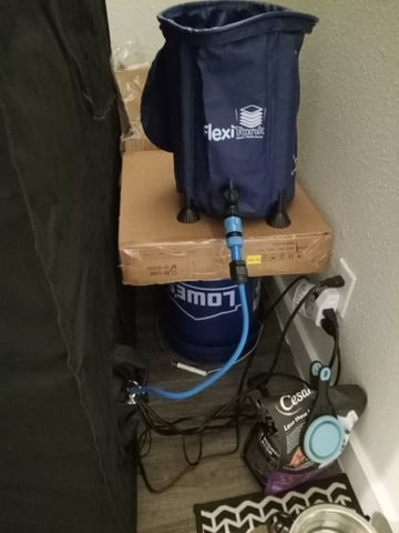 critical purple kush x peyote wifi  in the auto pot system tray 2 grow with added microhazian to the coco coir  — vegetative, day 16