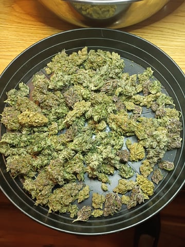FastBuds-Auto Mix Pack-Quad Mystery