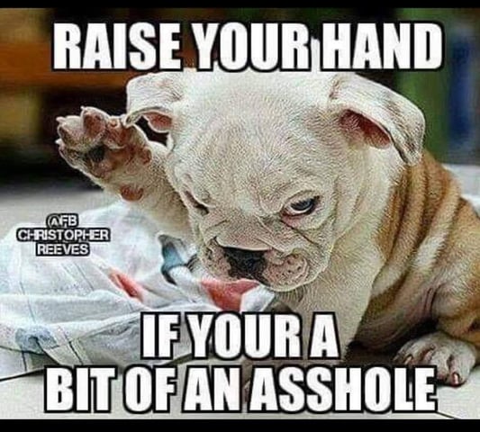 Dos Si Dos. Indica — vegetative, day 24