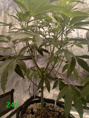 Photo Time📸🕞 — flower, day 58
