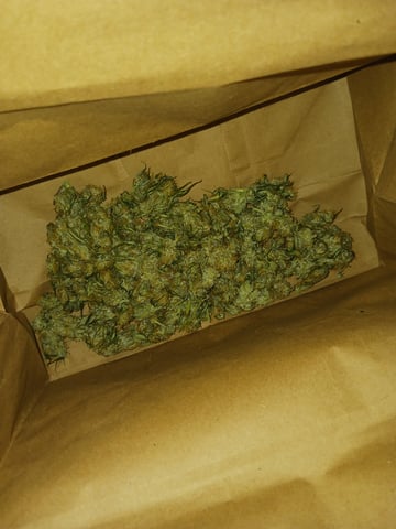 black gorilla feminized  — harvest, day 38