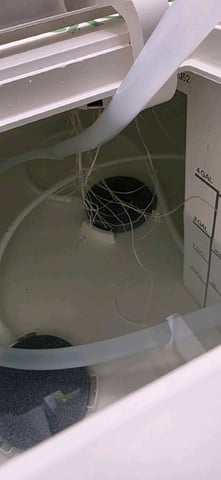 Vivosun Seed tent — vegetative, day 15