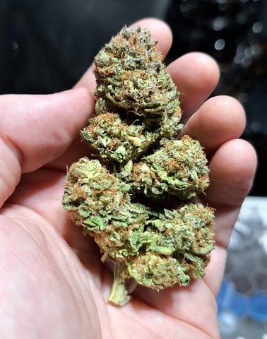 Blackberry Kush