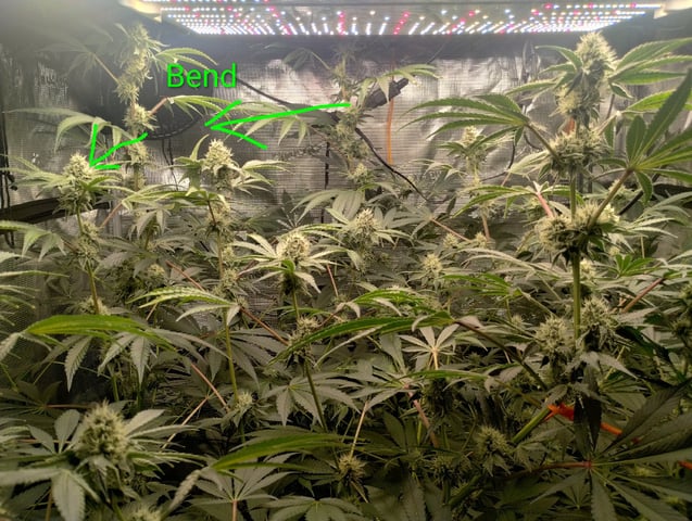 Photo Time📸🕞 — flower, day 91