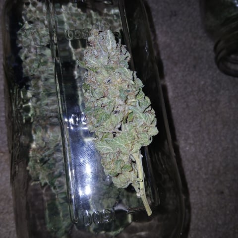 run #3 — done, day 121