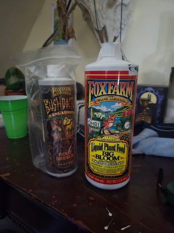 Looking for advice! — vegetative, day 26