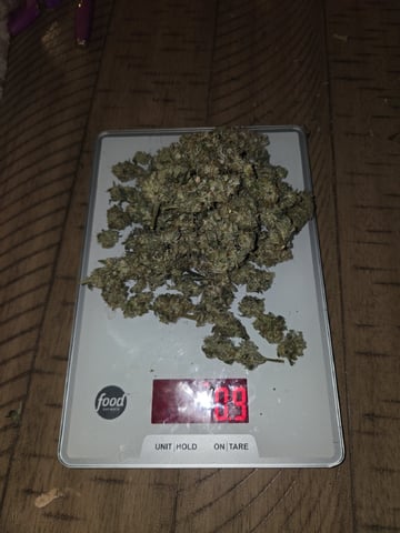 Bruce Banner #4  — harvest, day 132