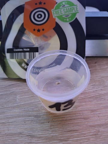 RESTART  — germination, day 7